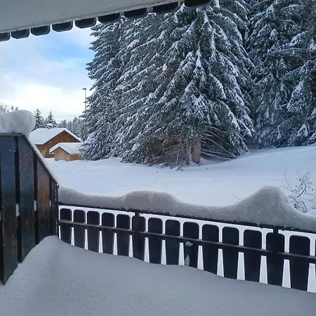 Apartment Des Lys 20 M2 Praz De Lys Centre Au Calme Taninges