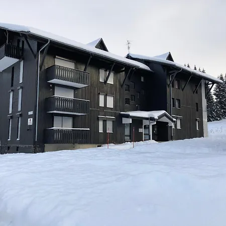 Des Lys 20 M2 Praz De Lys Centre Au Calme *